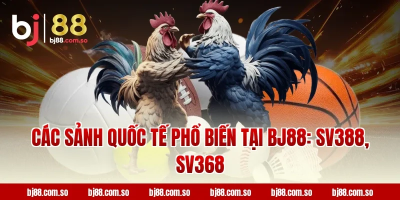 Các sảnh quốc tế phổ biến tại BJ88: SV388, SV368