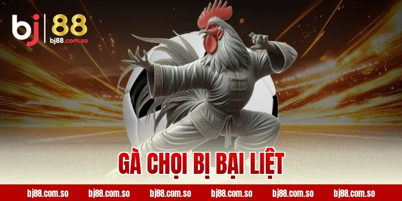gà chọi bị bại liệt
