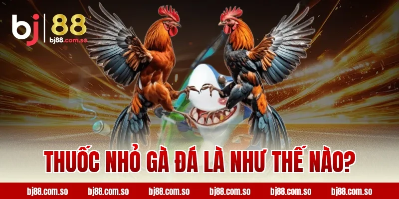 Thuốc nhỏ gà đá là như thế nào?