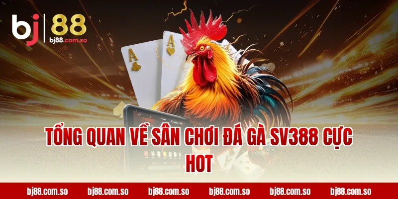 Tổng quan về sân chơi đá gà SV388 cực hot tại BJ88